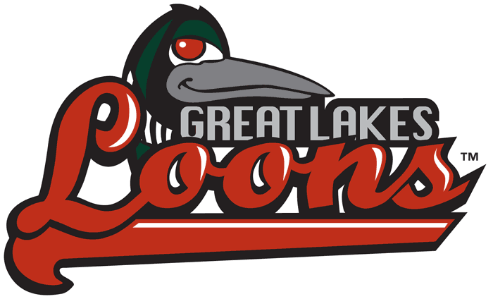 Great Lakes Loons 2007-pres primary logo iron on transfers for clothing
